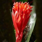 Pat-November-031.jpg