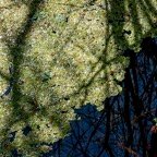 Margaret-January-019.jpg