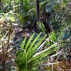 Pat-January-010.jpg