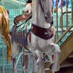 David-February-058.jpg