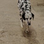 Mary-February-022.jpg