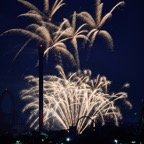David-July-029.jpg