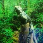 Mary-October-021.jpg