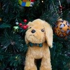 David-December-020.jpg