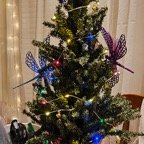 Jodi-December-026.jpg