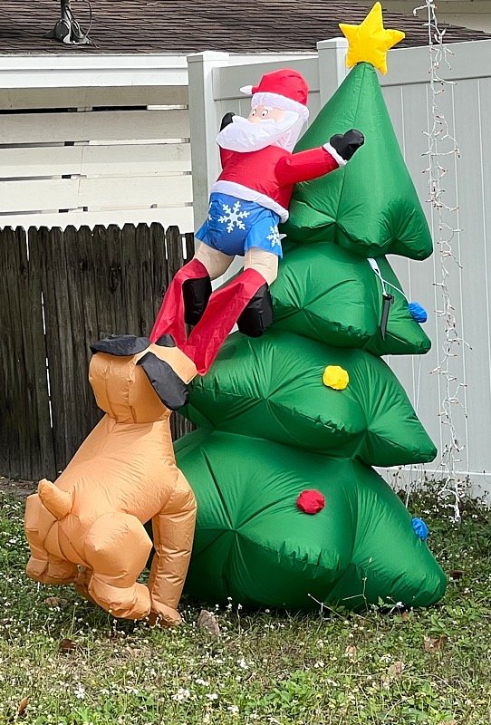Pat-December-068.jpg