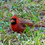 Margaret-January-005.jpg