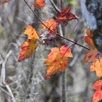 Pat-January-017.jpg