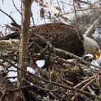 David-February-Eureka-023.jpg