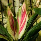 Mary-February-Eureka-043.jpg