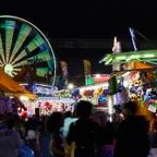 David-February-Fair-014.jpg