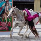David-February-Fair-036.jpg
