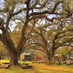 Marty-February-Fair-015.jpg