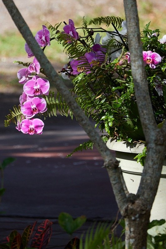 Pat-April-049.jpg