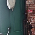 Marty-May-019.jpg