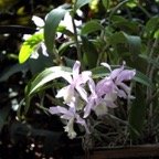Bob-February-Eureka-016.jpg