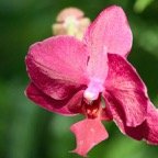 Pat-February-Eureka-012.jpg