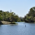 Ron-March-010.jpg