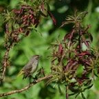 Ron-March-019.jpg