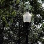 Bob-April-033.jpg
