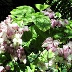 Bob-July-016.jpg