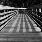 Bob-July-030.jpg