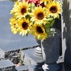 Ron-July-003.jpg