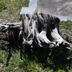 Ron-July-021.jpg
