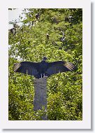 03a-073 * Black Vulture totem * Black Vulture totem