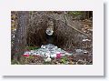 Bower of a male Great Bowerbird.