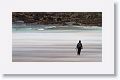 A wall of sand blasts King Penguins, photographers and cameras at Volunteer Point