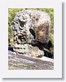 Carved stone Macaw heads adorn the ballcourt