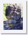 Carved stone Macaw heads adorn the ballcourt