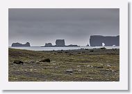 Dyrholaey Nature Reserve is on the west side of this beach and our next stop.