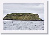 Many thousands of Puffins nest on this island. It is our first stop.