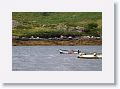 Cruising Killary fjord