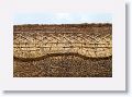 Close up of a thatched roof