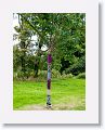 Knitted sweaters for the trees on the grounds of Blarney Castle