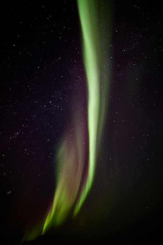 Aurora-007