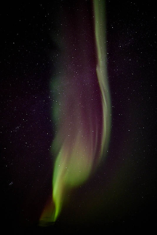 Aurora-008