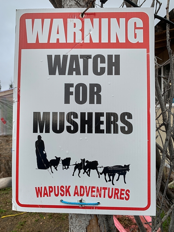 WapuskAdventures-002