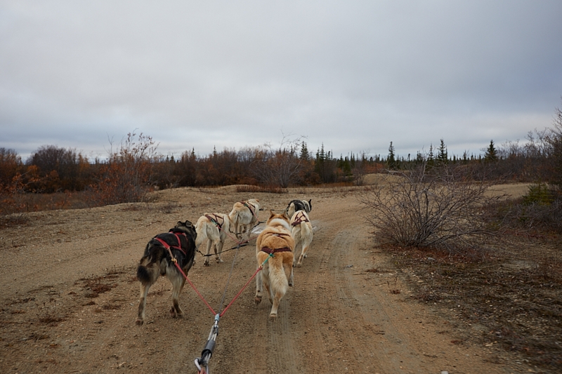 WapuskAdventures-016