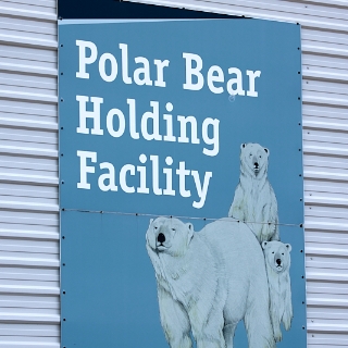 PolarBearJail-001