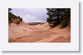 The site appears to have formed at the margin of an oasis in a sea of windblown sand at a time when the Colorado Plateau was one of the world?s largest ever sandy deserts.