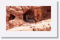 Desert Bighorn Sheep resting in the shade of an alcove.