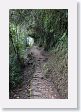 06MachuPicchu-152 * Path back from the Inca Bridge on the backside of Machu Picchu * Path back from the Inca Bridge on the backside of Machu Picchu