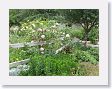 Late 1800s garden exhibit at Hemisfair Park.