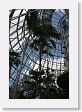 Indoor Palm tree exhibit at San Antonio Botanical Garden.