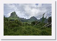 07-Moorea-030