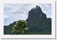 07-Moorea-034